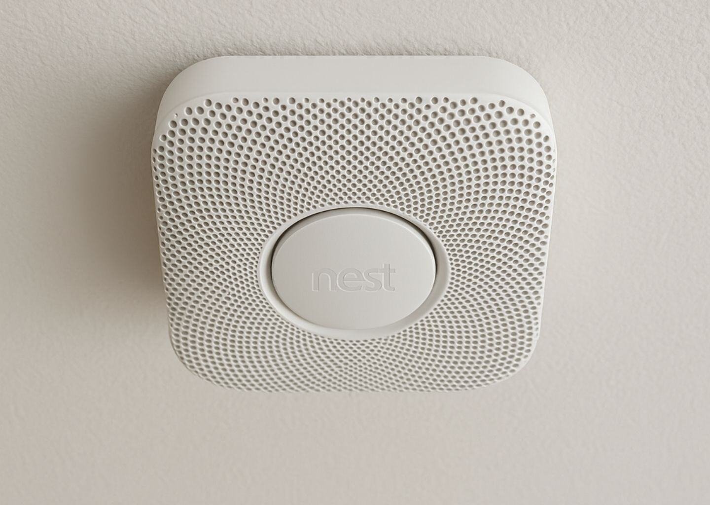 Nest
