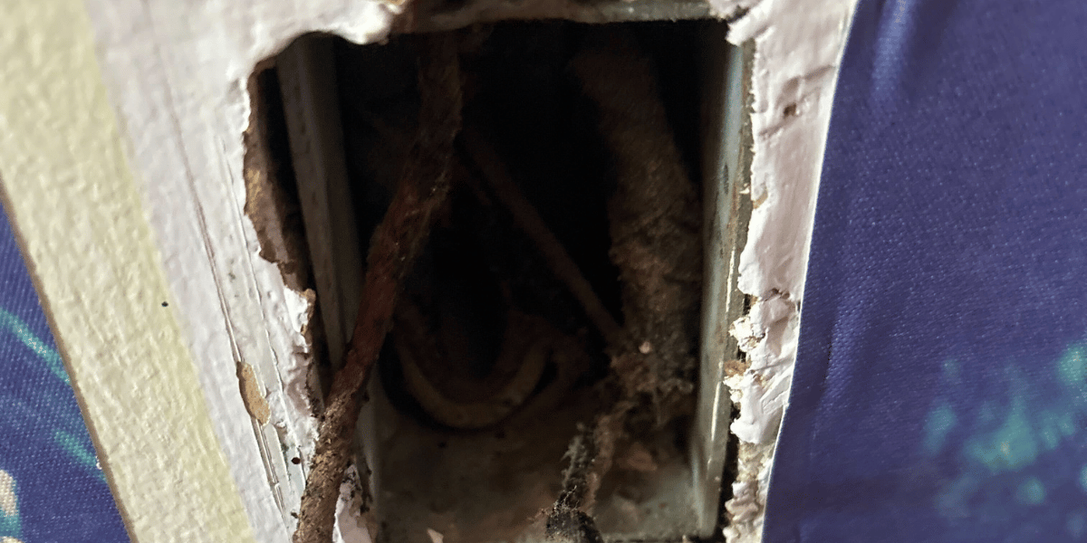 Burnt cloth wiring in an outlet